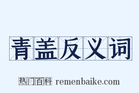 青盖反义词是什么意思的图片